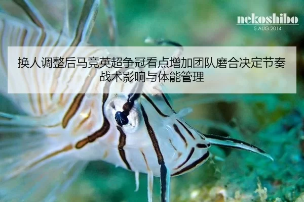 huan-ren-tiao-zheng-hou-ma-jing-ying-chao-zheng-guan-kan-dian-zeng-jia-tuan-dui-mo-he-jue-ding-jie-zou-zhan-shu-ying-2-981.jpg